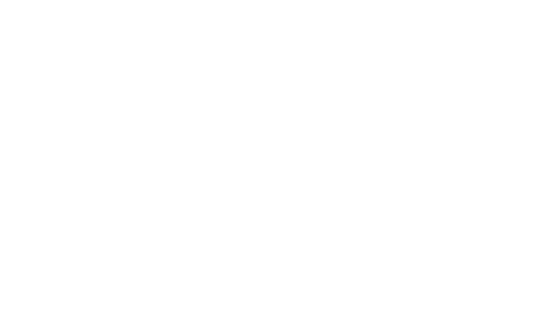 Weißes Buderus-Logo auf grünem Hintergrund mit einer Linie darunter.